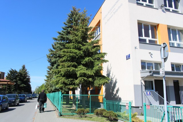 Z terenu Szkoły Podstawowej nr 25 w Rzeszowie może zniknąć 30 drzew. Dyrektor szkoły zdecydowała się na wycinkę bo drzewa stwarzają spore zagrożenie. Z tym nie zgadzają się Społeczni Strażnicy Drzew.
