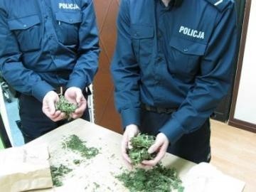 Przy zatrzymanym policjanci znaleźli ćwierć kilograma suszu roślinnego.