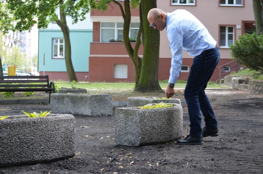 Głogów: Mała fontanna z kamiennymi żabami w Parku Słowiańskim przeszła rewitalizację