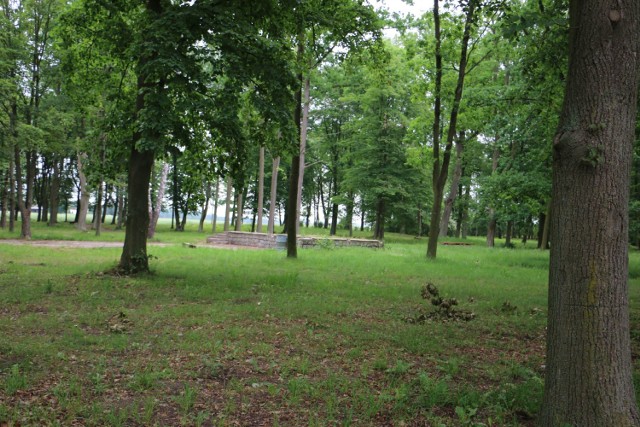 W parku w Dobrzyniu nad Wisłą powstanie miejsce dla młodzieży. Gmina zbuduje tu skatepark i miejsce do rekreacji