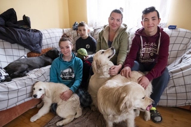 2 marca ta ukraińska rodzina z Zaporoża dotarła po wyczerpującej podróży do Czerniewic. Pani Anna pokonała kilkaset kilometrów wraz z dziećmi: 9-letnim Sewerynem, 12-letnią Aurorą i 16-letnim Demianem oraz czterema psami. Najstarsza, pełnoletnia córka została na Ukrainie, bo jej narzeczony jest żołnierzem.