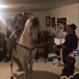 Koń tańczy na domówce. To jest impreza! [wideo]