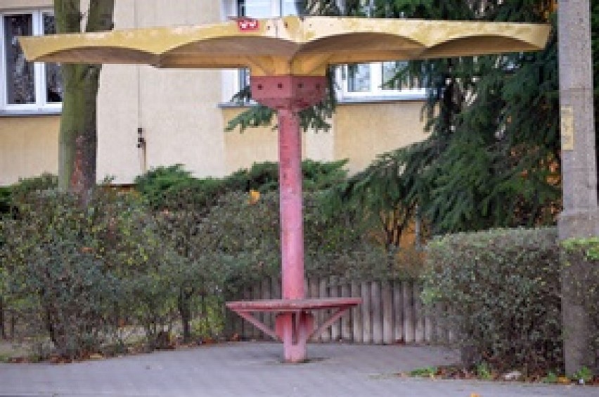 Głogów: Stare przystanki przy ulicy Obrońców Pokoju do rewitalizacji? O to wnioskuje miejska radna 