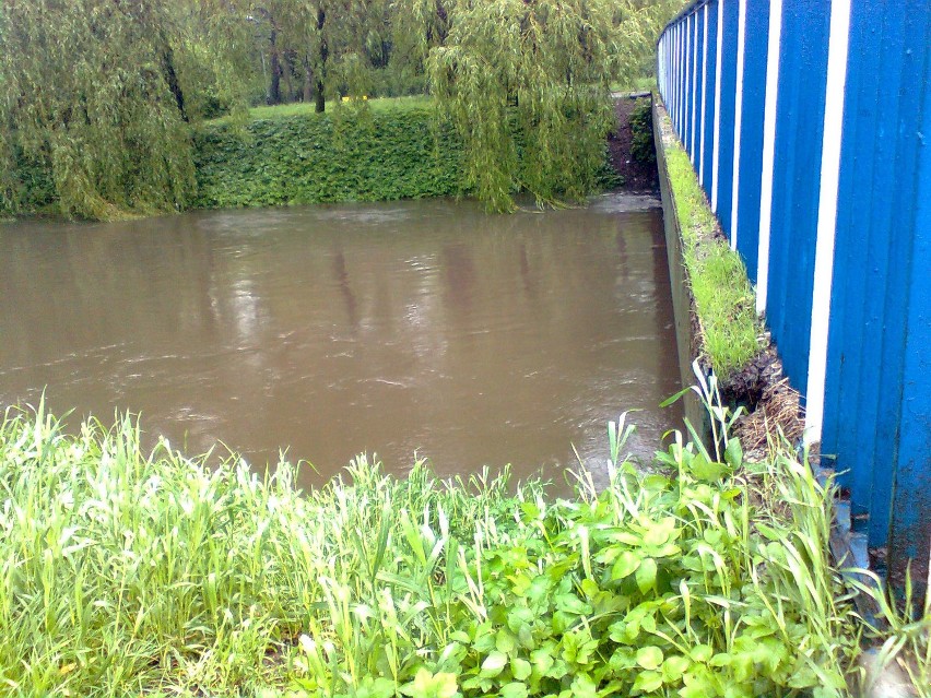 Sosnowiec Czarna Przemsza -Park Sielecki