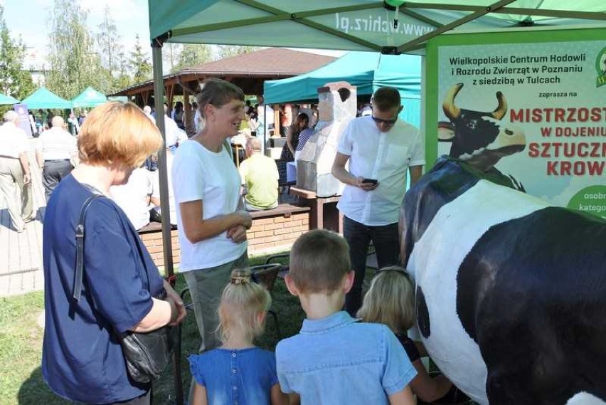 Dożynki gminne w Augustowie 2019. Rolnicy doili sztuczną krowę [ZDJĘCIA]