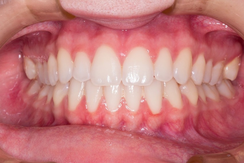 Stomatolog, Ortodonta...