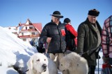 40. Góralski Karnawał: Bacowie pokazali psy