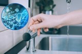 Rzeszów. Sanepid: Źródłem zakażeń bakterią Legionella mogły być instalacje wewnętrze budynków mieszkalnych