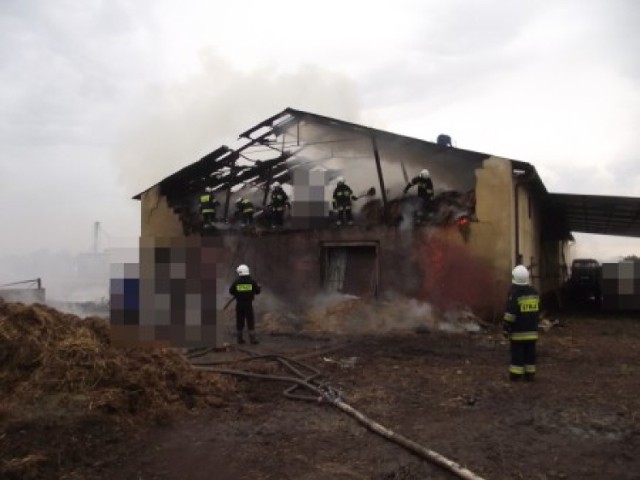 Ponad 60 strażaków z 12 jednostek przez blisko 18 godzin gasiło duży pożar przy ulicy Myśliwskiej w Ostrowie Wielkopolskim. Wstępnie straty materialne zostały oszacowane na 180 tysięcy złotych. 

ZOBACZ WIĘCEJ: Ostrów: Strażacy walczyli z pożarem chlewni przez 18 godzin [ZDJĘCIA]