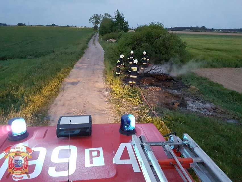 Strażacy otrzymali zgłoszenie o pożarze zarośli i krzewów w...