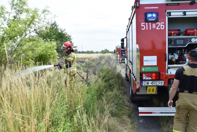 Od początku roku do połowy marca strażacy z Komendy Powiatowej Państwowej Straży Pożarnej w Oleśnicy odnotowali ponad 300-procentowy wzrost ilości pożarów, analogicznie do roku 2021.
