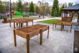 Park Śląski zyskał nową przestrzeń rekreacyjną. Przy al. Harcerskiej powstał Ogród Społeczności Parkowej