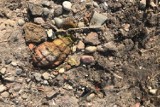 Granat ręczny z czasów II wojny światowej znaleziony na plaży przy Jeziorsku
