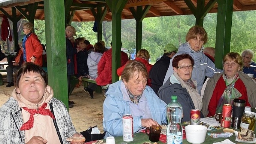 Piknik sekcji emerytów i rencistów ZNP w Swiebodzinie w...