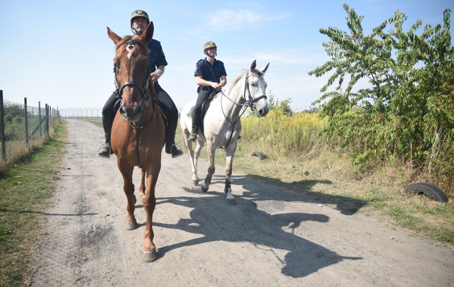 Straż Miejska ocenia pomysł patrolu konnego w rejonie Uroczyska Lublinek jako bardzo dobry. Za rok planowane jest przedłużenie działania patrolów o dwa miesiące