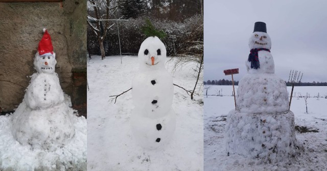 Bałwanki ulepione przez mieszkańców Świebodzina i okolic. W tym roku w Świebodzinie mamy naprawdę piękną zimę