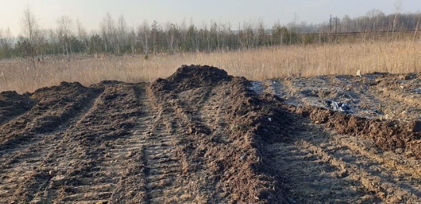 Strażnicy miejscy zatrzymali operatora koparki, który...