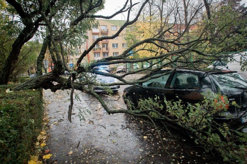 Silny wiatr na Pomorzu 14-15.10.2020 r. 4t0 interwencji straży pożarnej! Powalone drzewa i utrudnienia w ruchu drogowym