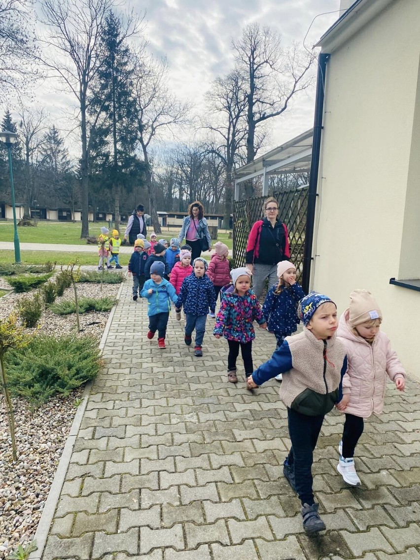 Grupa 3 i 4 - latków z przedszkola w Stefanowie, na...