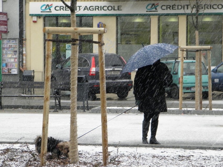 Zima wróciła do Częstochowy (zdjęcia)