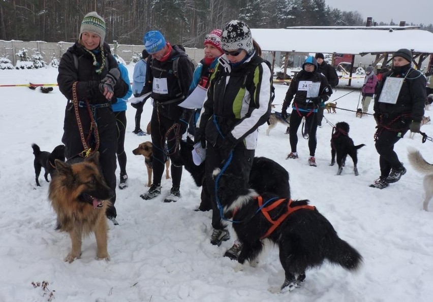 Rajd Dog Orient Szczepocice Rządowe 2013