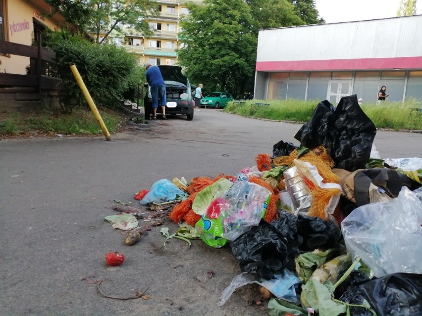 Śmieci na Podzamczu w Wałbrzychu