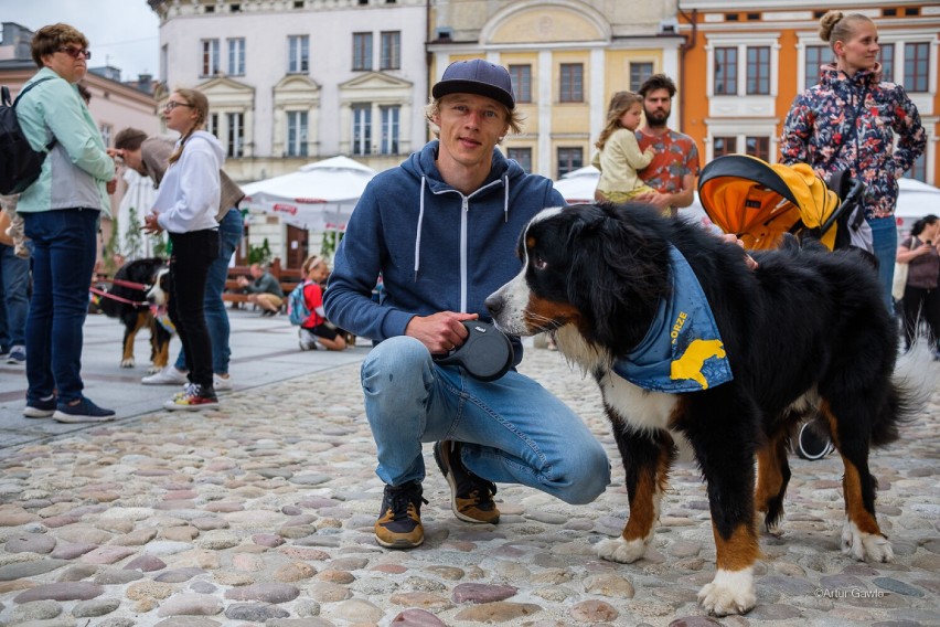 "Tarnów w tricolorze", czyli VIII Tarnowski Zjazd Berneńczyków. Na imprezie ze swoim pupilem pojawił się nawet Dawid Kubacki [ZDJĘCIA]