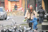 Plaga gołębi w Ostrowie. Co robić?