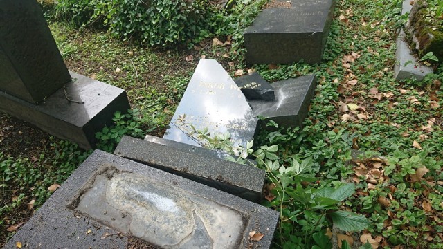 Zniszczone nagrobki na cmentarzu żydowskim w Bielsku-Białej