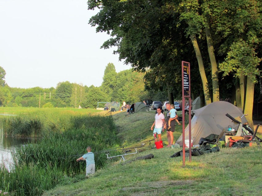 Piknik Karpiowy we Wrześni.