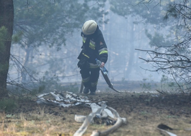 Nawet przez kilka dni w miejscu pożaru poszycie może tlić się i dymić.