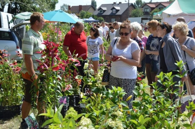 Święto kwiatów w Karsznicach będzie zorganizowany już po raz 15