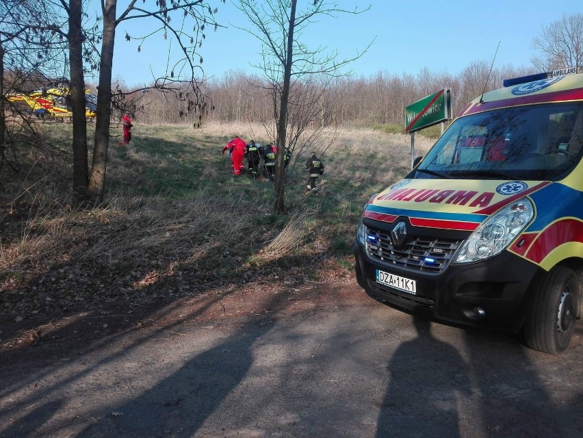 Dolny Śląsk. Młoda rowerzystka wypadła z trasy i uderzyła w drzewo. Niestety, zmarła...