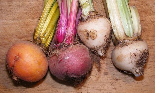 Źródło: http://commons.wikimedia.org/wiki/File:Uncommon_beetroot_colours.jpg?uselang=pl