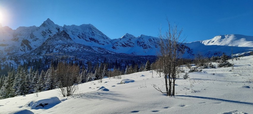 Tatry. Zimowa Hala Gąsienicowa w styczniowym słońcu. Wycieczka w góry dla piechurów i narciarzy. Wspaniałe widoki [ZDJĘCIA]