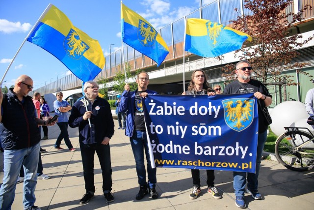 Protest na chorzowskim rynku w obronie Żabich Dołów.
