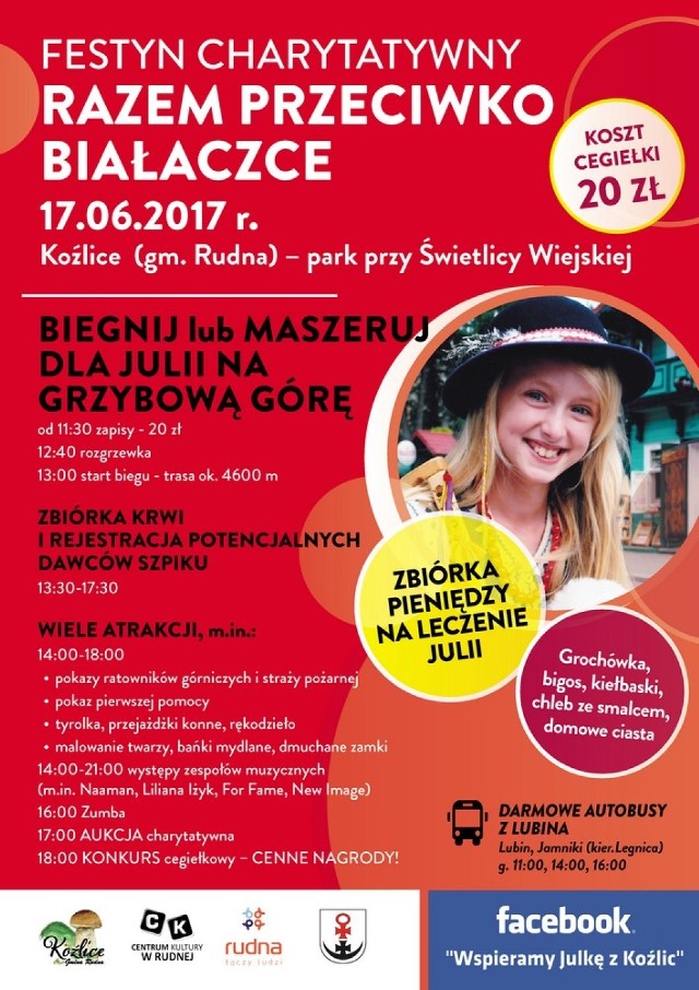 Festyn Charytatywny Razem przeciwko białaczce - Wspieramy Julkę z Koźlic