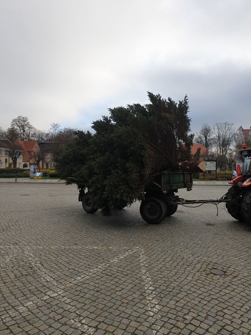 WSCHOWA. Boże Narodzenie 2019. Ozdoby świąteczne na Rynku już gotowe [ZDJĘCIA]