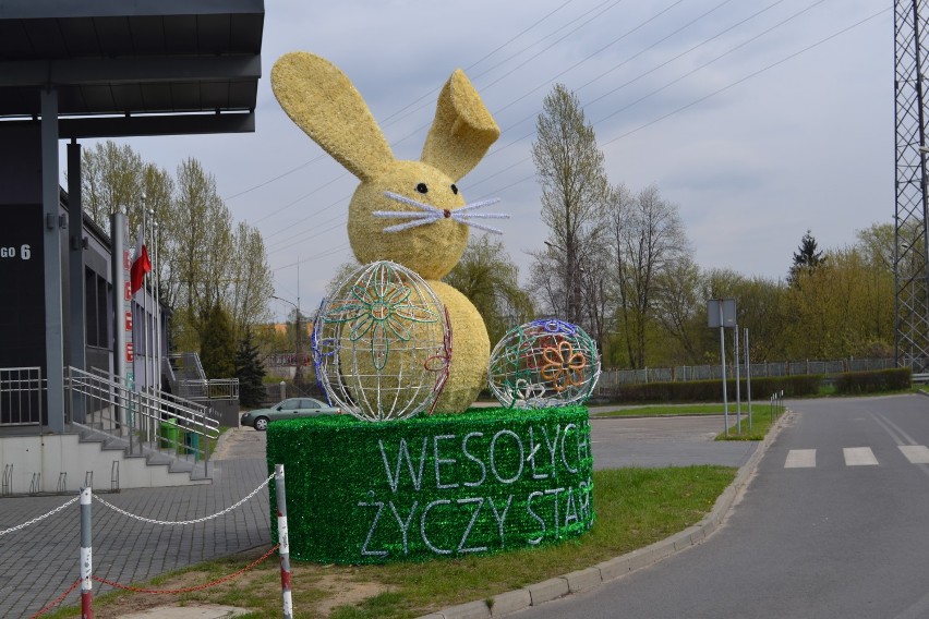 Wielkanocny zajączek przed Starostwem Powiatowym w Myszkowie ZDJĘCIA