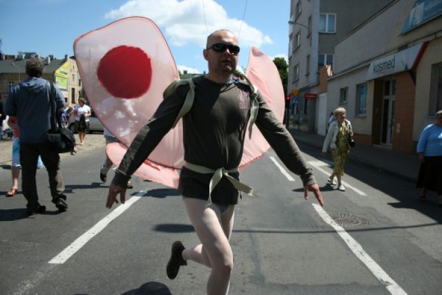 motyl, procesja bożego ciała