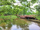 Kraków. Powiększy się urokliwy park na południu miasta