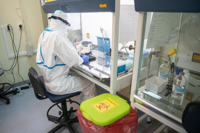 Zestawienie danych dotyczących pandemii koronawirusa w sobotę, 28 listopada 2020 roku.