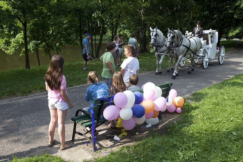 Bajkowy piknik Fundacji Gajusz w parku Mickiewicza