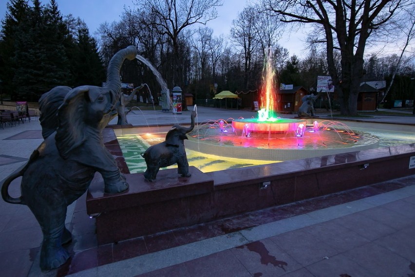 Rabka. Miejska fontanna rozbłyska kolorowym światłem [ZDJĘCIA]