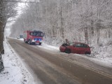 Wypadek w Lisewie (gmina Krokowa): 51-latka straciła panowanie nad kierownicą | ZDJĘCIA, NADMORSKA KRONIKA POLICYJNA