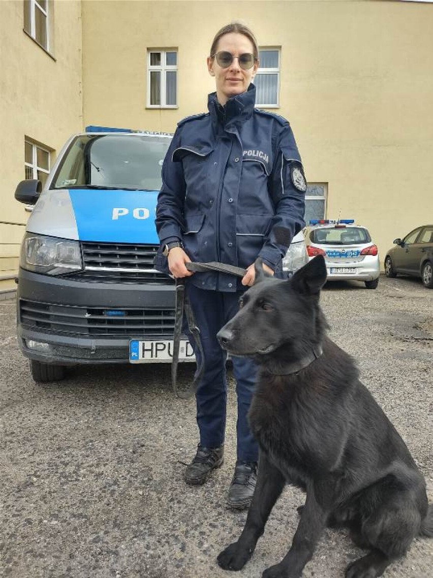 Powiat obornicki. Policyjny pies pomógł schwytać włamywaczy