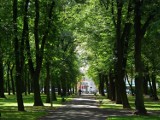 Ulubiony park poznaniaków to... Zapraszmy do głosowania! 