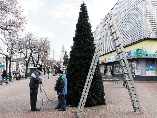 Choinka miejska w Pabianicach