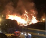 Katowice: pożar sterty drewna po wycince drzew. Na miejscu strażacy, policja kieruje ruchem