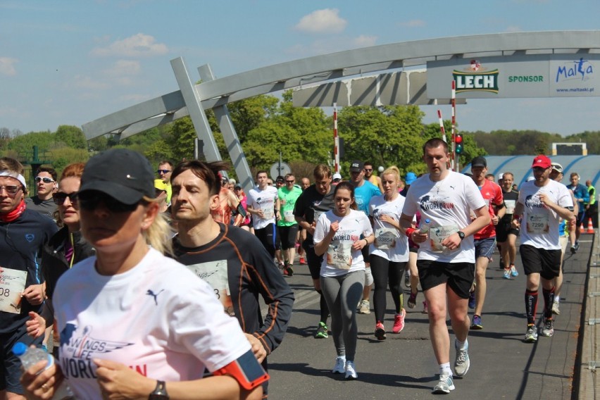 Zdjęcia ze startu Wings For Life 2015